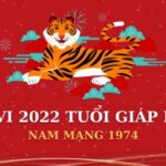 Xem tử vi tuổi giáp dần năm 2022 nam mạng đầy đủ – chi tiết nhất